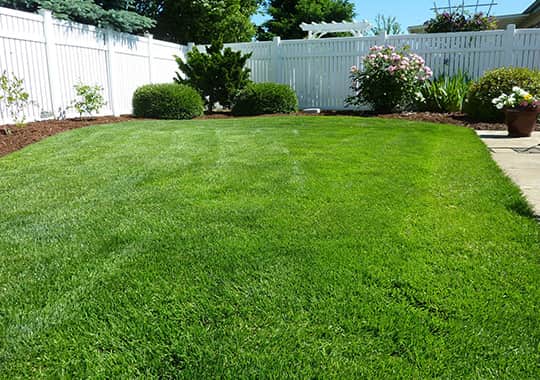 Natuurlijke elementen Amerikaanse tuin Natuurlijke elementen Amerikaanse tuin