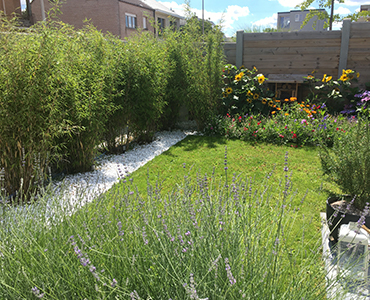 Diervriendelijke tuin gazon Diervriendelijke tuin 1
