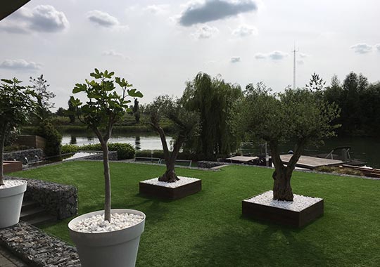 Moderne tuin Moderne tuin