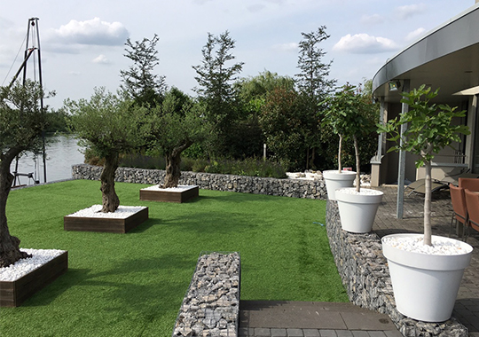 Mooie strakke tuin Mooie strakke tuin