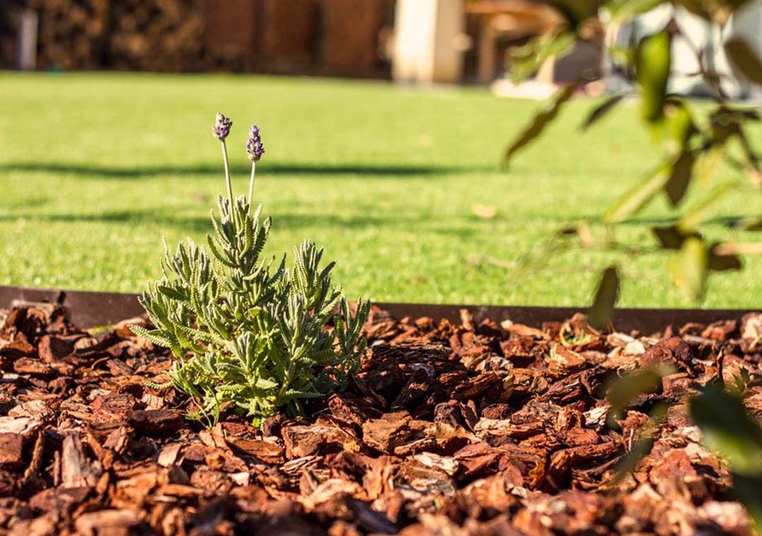 rindenmulch