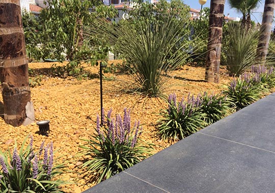 Jardin con gravilla y plantas