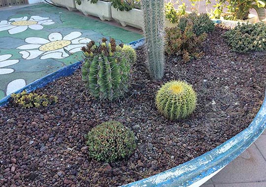 Jardin volcanica
