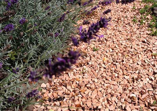 Jardin con gravilla de estilo mediterráneo