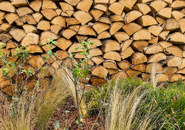 Bienenfreundlicher Garten Nistanlagen Holz