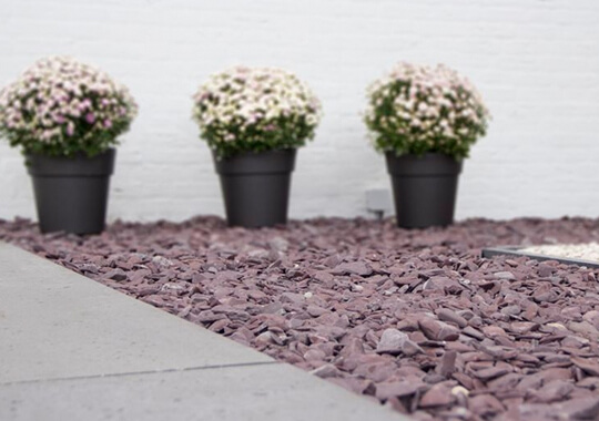 Der französischen Garten Flat Pebbles violet