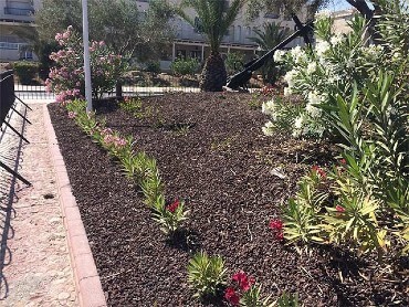 Jardin con gravilla volcánica y plantas