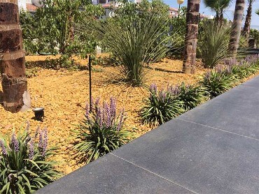 Jardin con gravilla y plantas