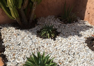 Jardín mediterráneo con piedras blancas y plantas verdes