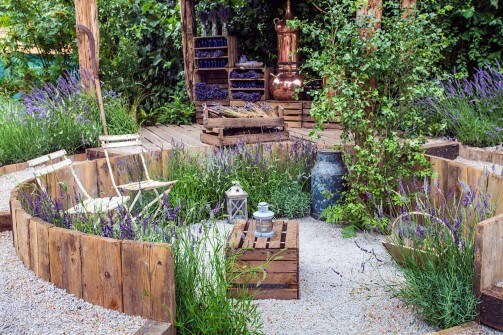 Un jardín barato con mucha vegetación