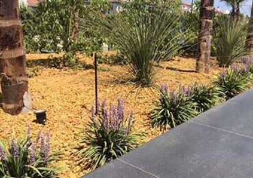 Un jardín mediterráneo con gravilla amarilla