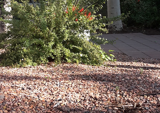 Zuidelijke tuin rode mijnsteen