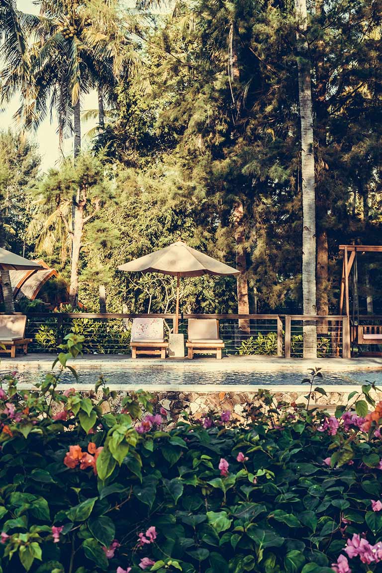 Jardin con piscina Jardin con piscina